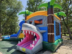 IMG 20240520 182215 1716318336 XXL Double Lane Megi Bounce House Slide Combo